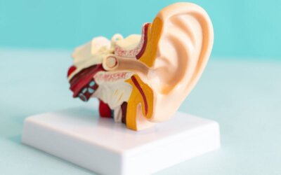 5 Things You Didn’t Know About Audiology